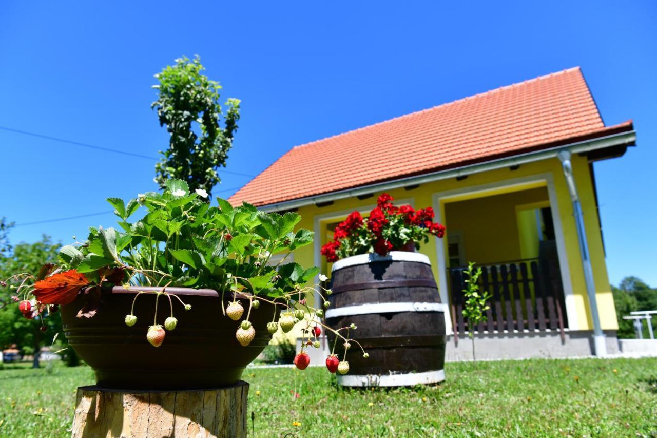 Apartman Vito Saborsko Zewnętrze zdjęcie